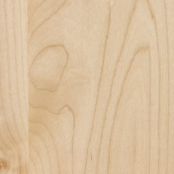 Close-up of a wooden surface with visible grain and texture