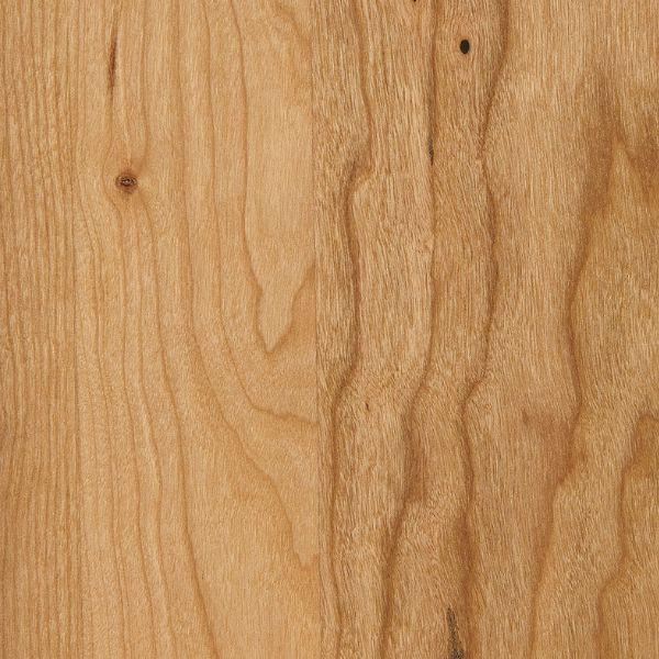 Close-up of a wooden surface with visible grain and texture