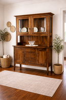 Wooden hutch with glass doors in a room with plants and a rug.