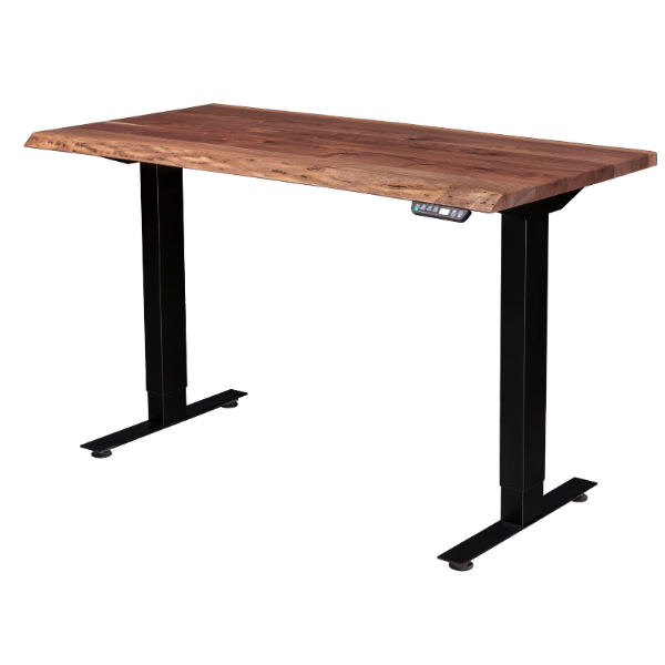 Adona Adjustable Standing Desk - Quick Ship