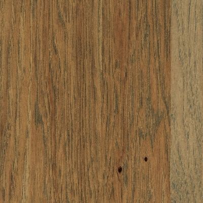 Hickory Samples