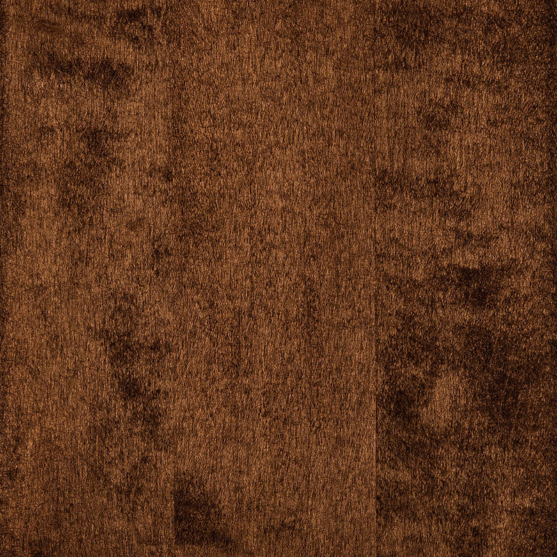 Hard Maple Samples